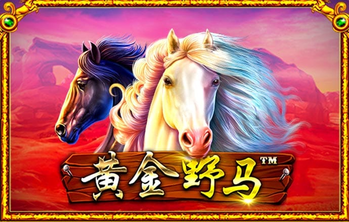 K体育app官网下载官方版